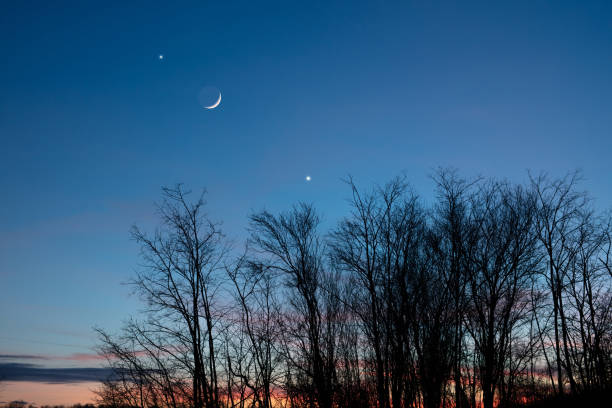 istock Planets in conjunction with young Moon above tree countryside silhouettes. 1471149530