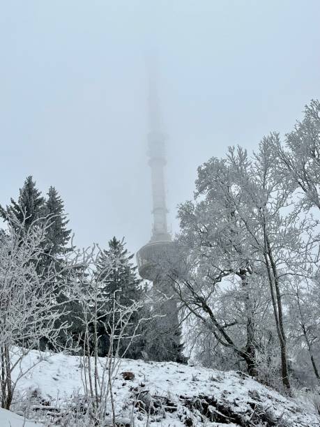 istock Uetliberg snowed tv tower 1471152580