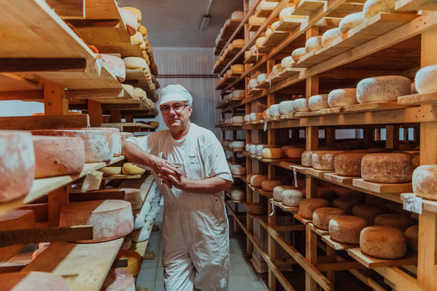 istock A worker at a cheese factory sorting freshly processed cheese on drying shelves 1471155592