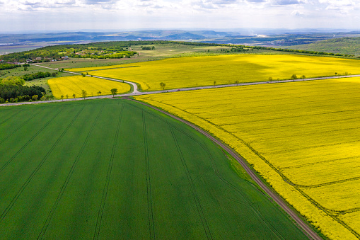 Aerial shot of fields with a tractor traces on the agricultural field sowing. Green and yellow contrast.