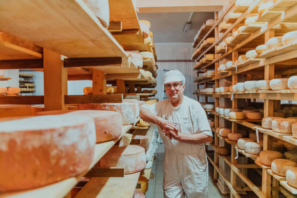istock A worker at a cheese factory sorting freshly processed cheese on drying shelves 1471155699
