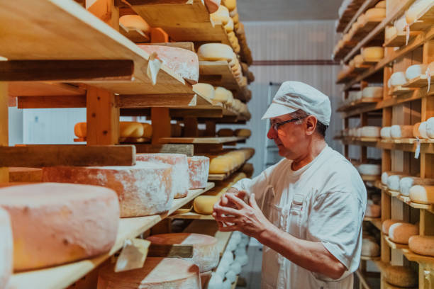 istock A worker at a cheese factory sorting freshly processed cheese on drying shelves 1471155757