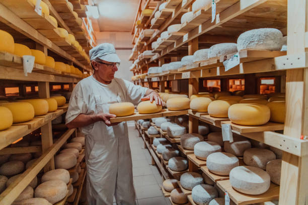 istock A worker at a cheese factory sorting freshly processed cheese on drying shelves 1471156009