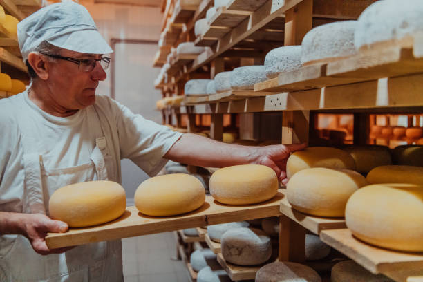 istock A worker at a cheese factory sorting freshly processed cheese on drying shelves 1471156070