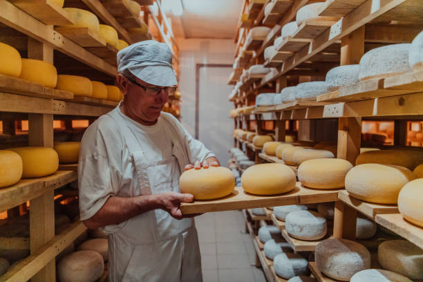 istock A worker at a cheese factory sorting freshly processed cheese on drying shelves 1471156111