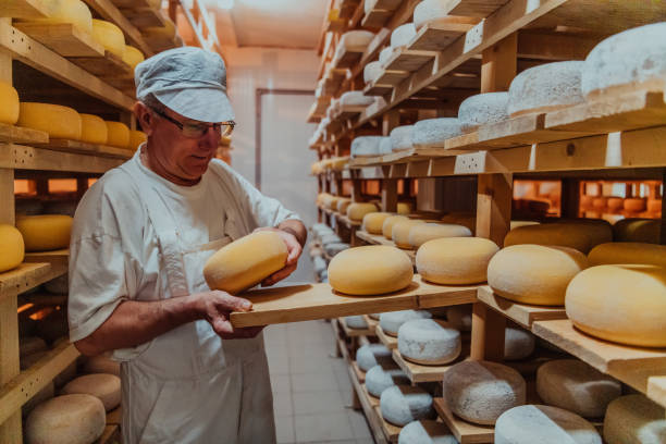 istock A worker at a cheese factory sorting freshly processed cheese on drying shelves 1471156163