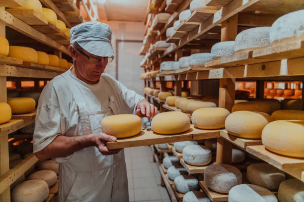 istock A worker at a cheese factory sorting freshly processed cheese on drying shelves 1471156211