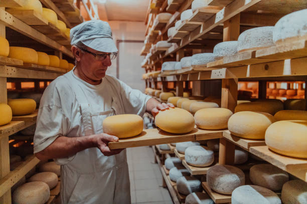istock A worker at a cheese factory sorting freshly processed cheese on drying shelves 1471156769