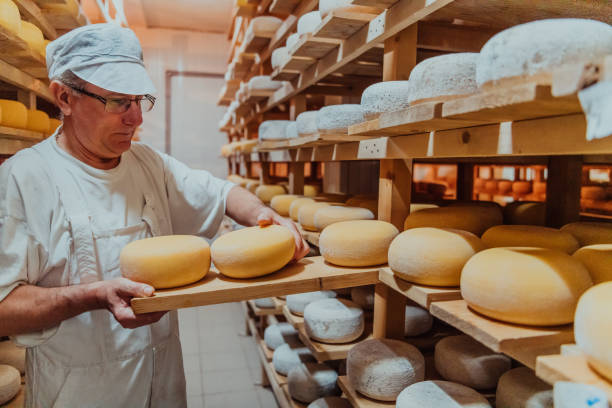 istock A worker at a cheese factory sorting freshly processed cheese on drying shelves 1471157330