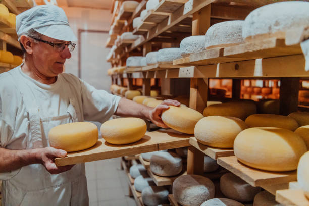 istock A worker at a cheese factory sorting freshly processed cheese on drying shelves 1471157383