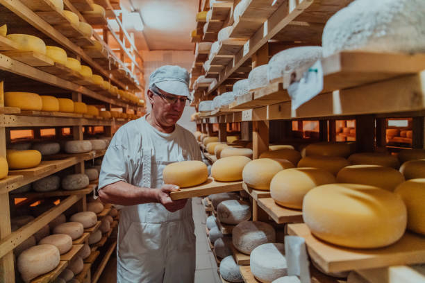 istock A worker at a cheese factory sorting freshly processed cheese on drying shelves 1471157750