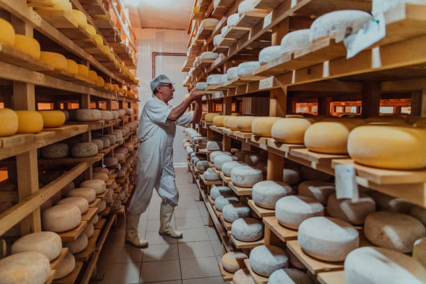 istock A worker at a cheese factory sorting freshly processed cheese on drying shelves 1471157928