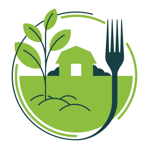 Farm-to-fork - distribution of locally grown food Farm-to-fork - social movement which promotes serving locally grown food at restaurants and schools through direct acquisition from the producer. Direct food sales relationship traceability stock illustrations
