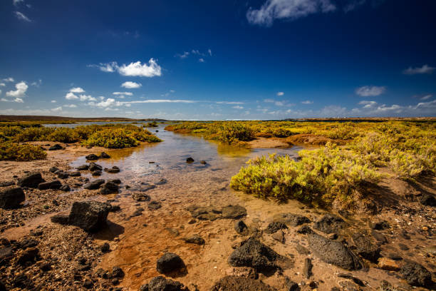 istock Lanzarote - volcanic Island 1471158297