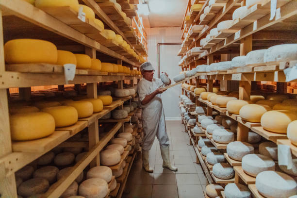 istock A worker at a cheese factory sorting freshly processed cheese on drying shelves 1471158390