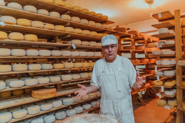 istock A worker at a cheese factory sorting freshly processed cheese on drying shelves 1471159331