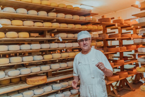 istock A worker at a cheese factory sorting freshly processed cheese on drying shelves 1471159369