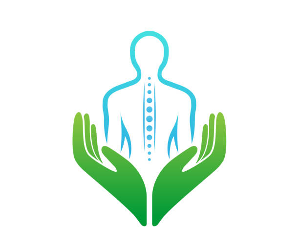 ilustraciones, imágenes clip art, dibujos animados e iconos de stock de vector quiropráctico de cuidado de las manos símbolo de la columna vertebral - massage therapist illustrations