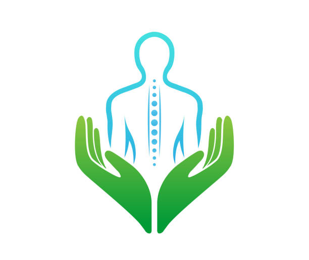 ilustrações de stock, clip art, desenhos animados e ícones de chiropractic hands care vector spine symbol - massaging human hand massage therapist vector