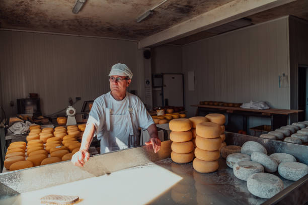 istock The cheese maker sorting freshly processed pieces of cheese and preparing them for the further processing process 1471163084