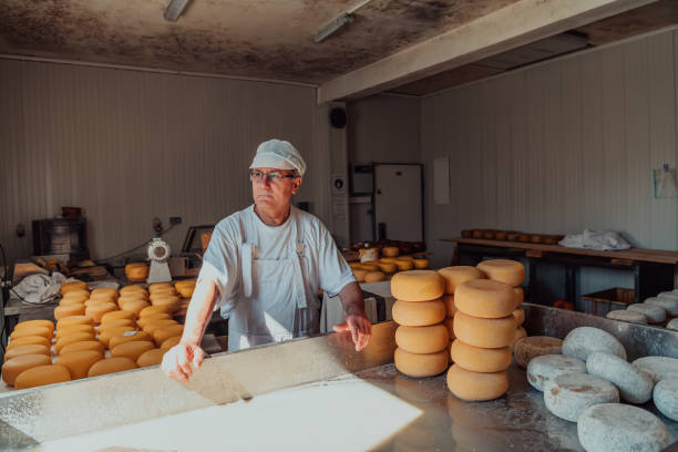 istock The cheese maker sorting freshly processed pieces of cheese and preparing them for the further processing process 1471163141