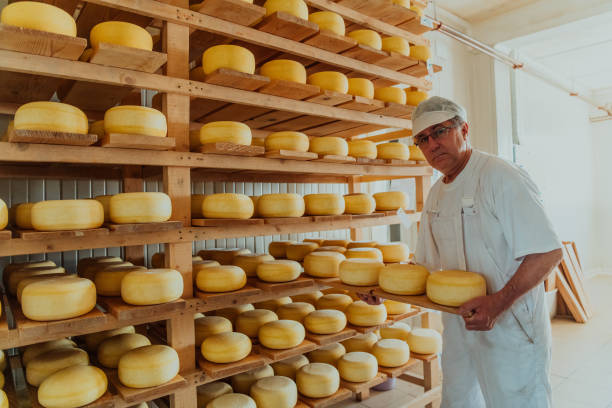 istock A worker at a cheese factory sorting freshly processed cheese on drying shelves 1471164172