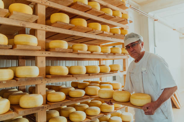 istock A worker at a cheese factory sorting freshly processed cheese on drying shelves 1471164248