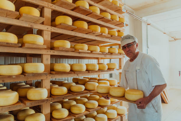 istock A worker at a cheese factory sorting freshly processed cheese on drying shelves 1471164291