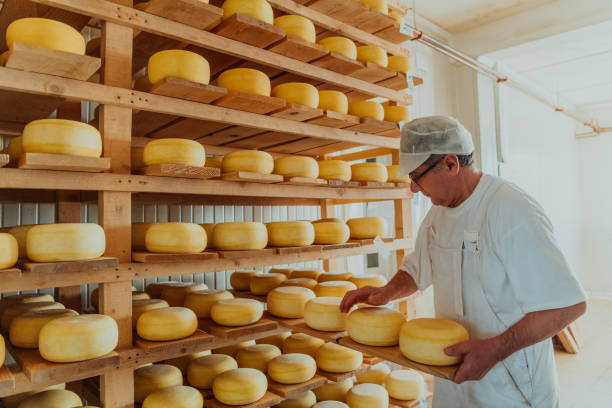 istock A worker at a cheese factory sorting freshly processed cheese on drying shelves 1471164365