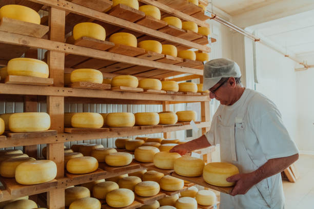 istock A worker at a cheese factory sorting freshly processed cheese on drying shelves 1471164426