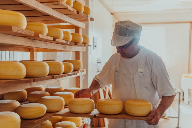 istock A worker at a cheese factory sorting freshly processed cheese on drying shelves 1471164858