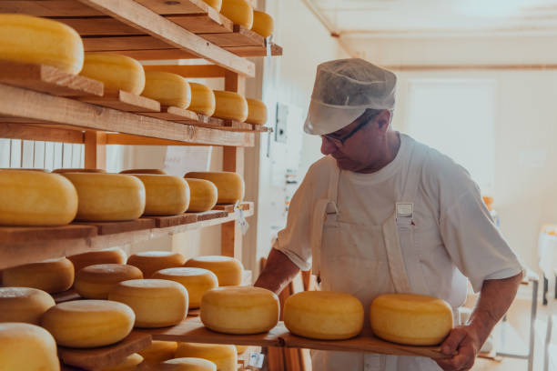 istock A worker at a cheese factory sorting freshly processed cheese on drying shelves 1471165014
