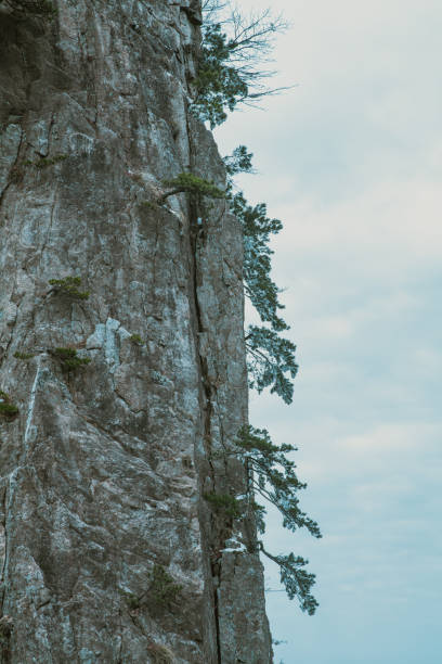 Bizarre landscapes in Huangshan Mountain