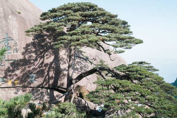 istock 
