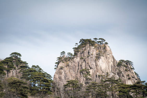istock Bizarre pine trees in Huangshan Mountain 1471188159