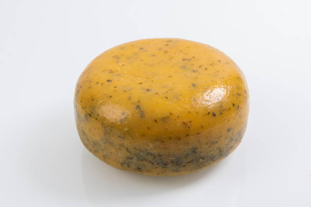 Close up big yellow wheels of hard matured gouda Dutch cheese, high angle view