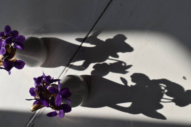 Scenting flowers - springtime and contrasts between sunlight and shadows.