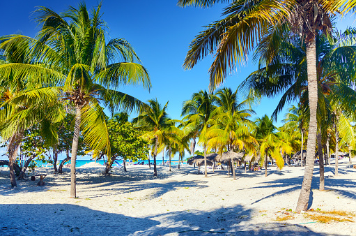 Relaxing on remote tropical beach with white sand, coconut trees and deep blue sky