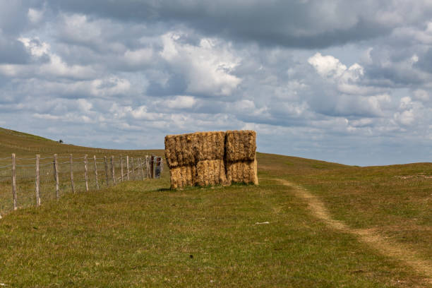 istock A rural South Downs landscape with a haystack for animal feed 1471202519