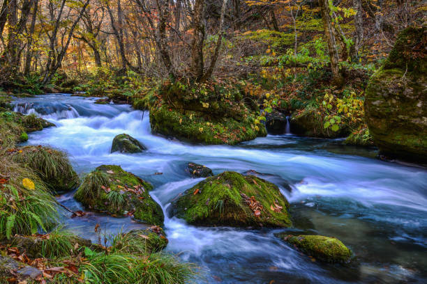 istock Oirase Stream in sunny day, beautiful fall foliage 1471202709