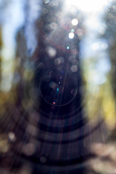 istock The optical effect of shooting a camera lens. 1471205683
