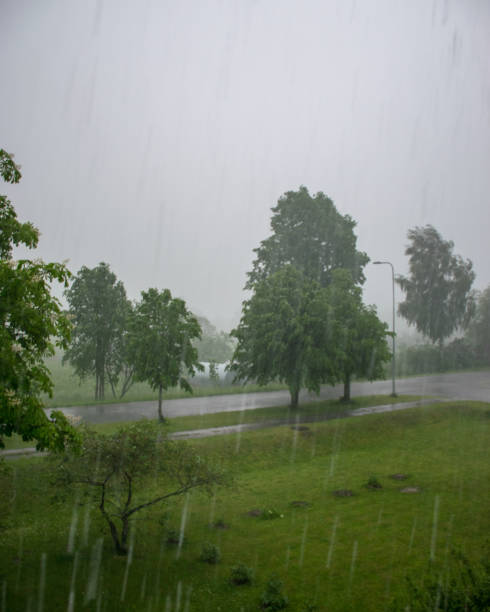istock landscape with trees during rain and storm, the wind made the picture blurry 1471205878