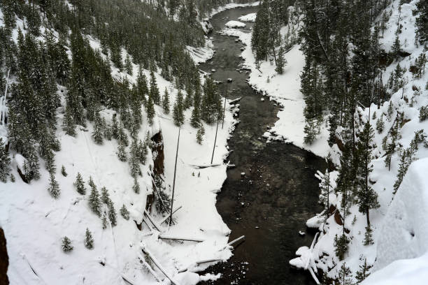 istock Yellowstone Winter Yellowstone River 1471207624