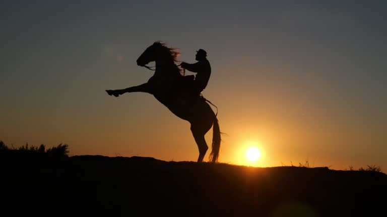 Man on his Camargue Horse Kicking at Sunrise, Manadier in Saintes Maries de la Mer in Camargue, in the South of France , Cow Boy, Slow Motion 4K