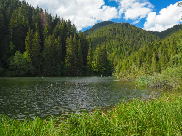 istock Lake and wetlands 1471209630