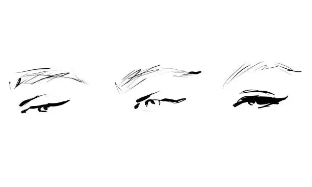 Vector illustration of Hand drawn female eyes.