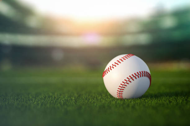 Baseball ball in a grass of baseball arena stadium. stock photo