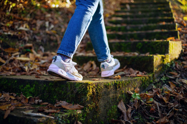 Marcher dans la forêt d’automne - Photo