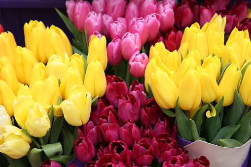 Tulips bouquet with yellow and red colorful flowers. Present for March 8, International Women's Day. Holiday spring decor.\nPhotographed on Canon EOS 5D Mark III.