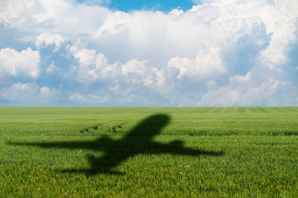 Shadow of the plane on the agricultural field. Shadow of the plane on the agricultural field. Concept of decarbonization and biofuel biofuel stock pictures, royalty-free photos & images